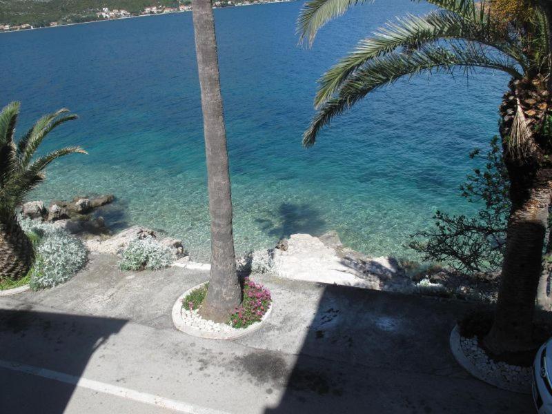 Apartments Jasmina Korčula Værelse billede